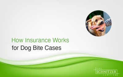 How Insurance Works for Dog Bite Cases in Las Vegas