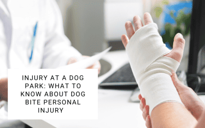 Injury at a Dog Park: What to Know About Dog Bite Personal Injury