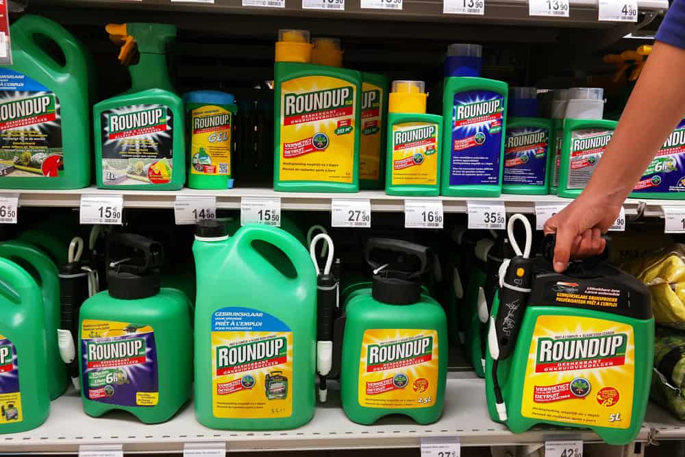 Monsanto Lawsuit Get Compensated For Cancer From Roundup