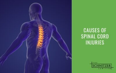 Causes of Spinal Cord Injuries